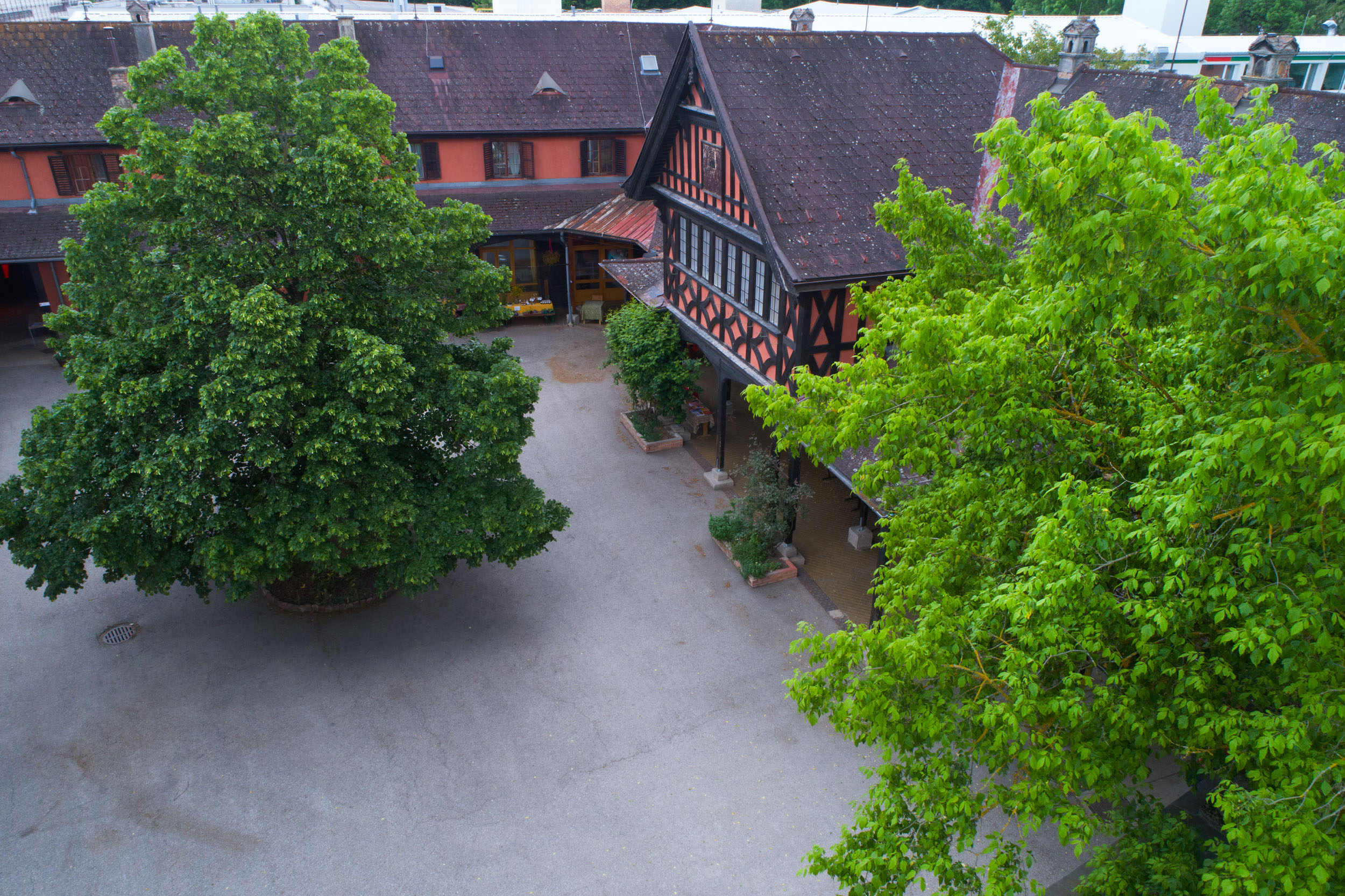Blick in den Schulhof Waldorfschule Schönau