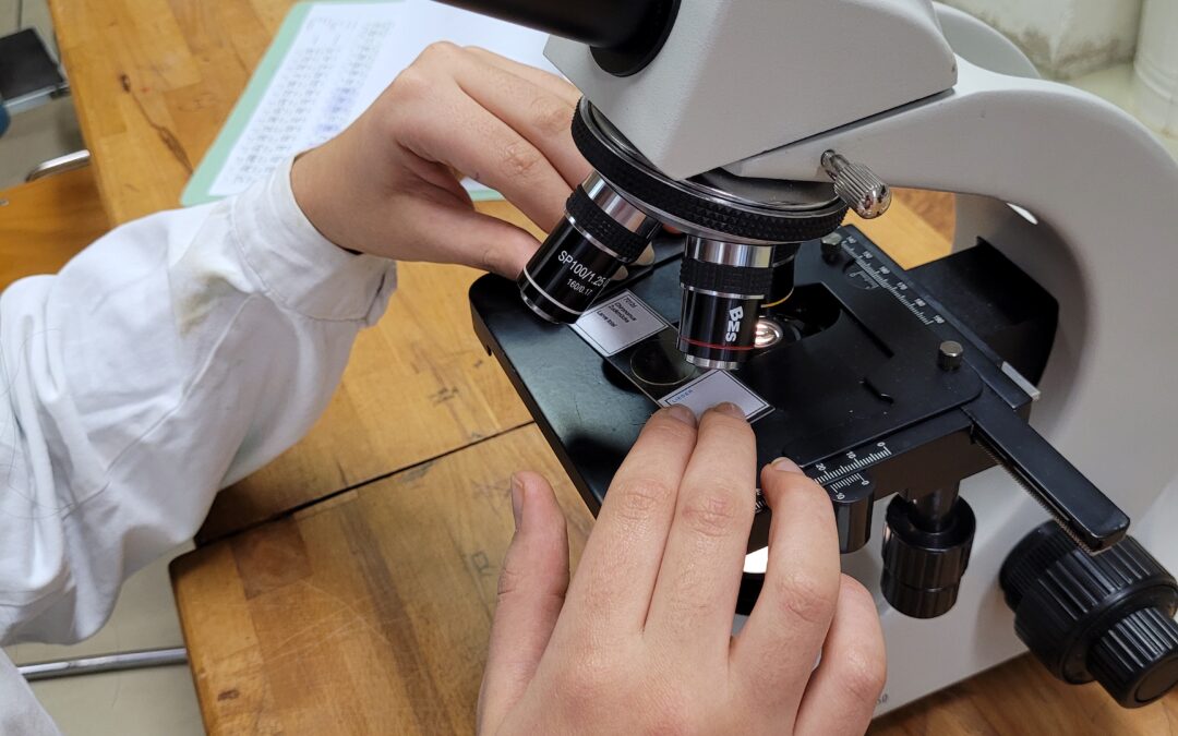 Naturwissenschaften an der Waldorfschule – die Welt mit eigenen Augen entdecken