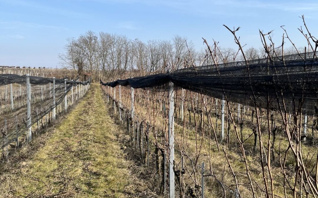 Arbeitsweltorientierung